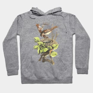 BIRDS ON THE NEST Hoodie